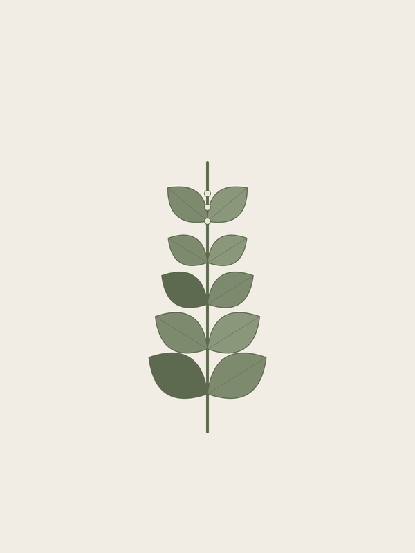 Basil