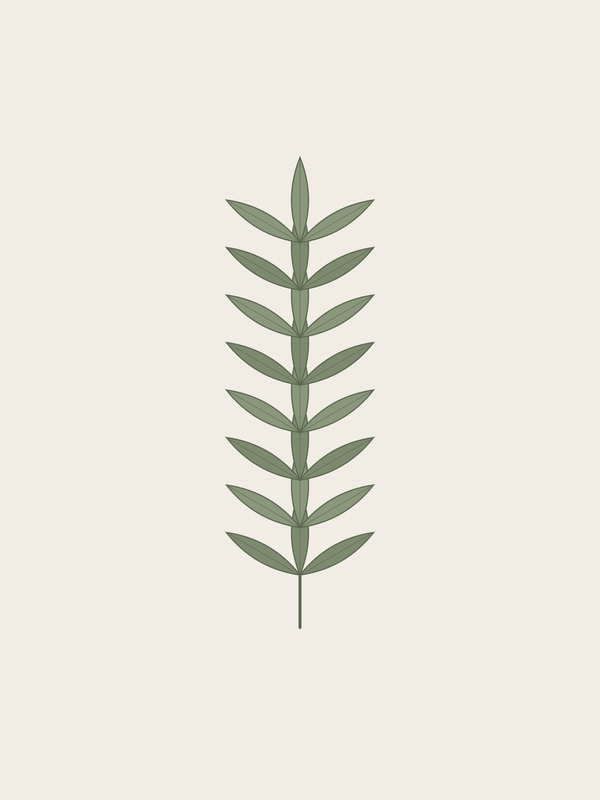 Lemon Verbena