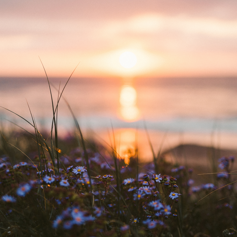 A solstice candle ritual with summer botanicals.
