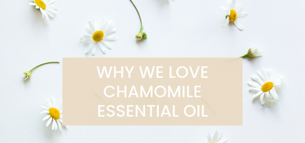 Why we Love Chamomile Essential Oil