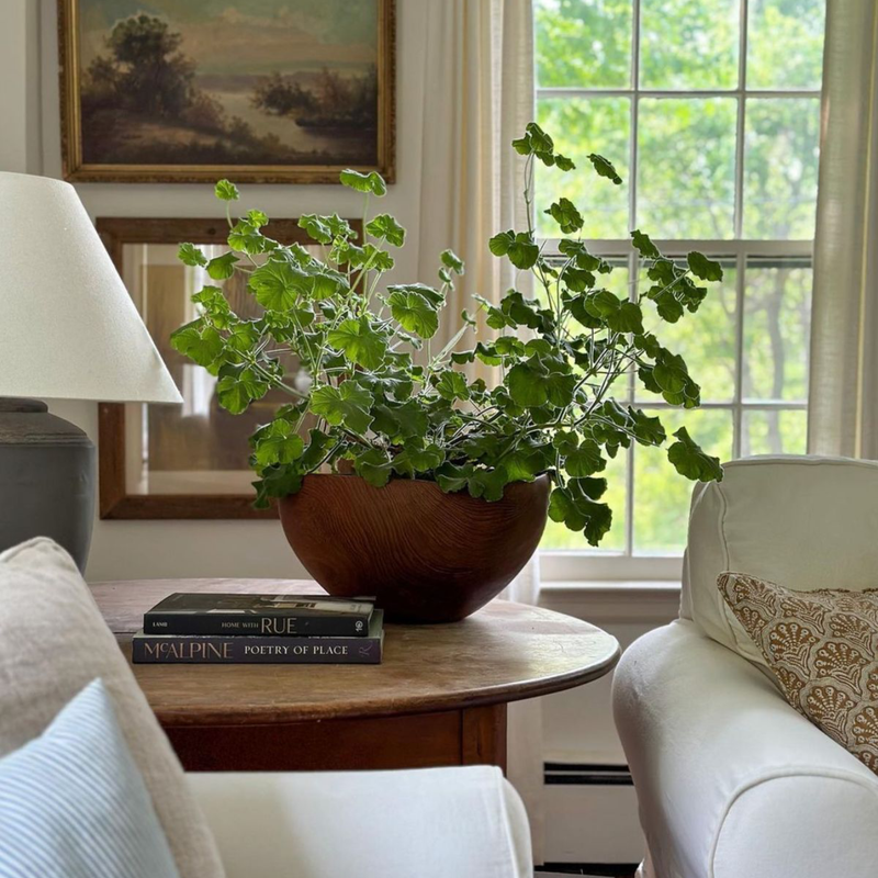 A calm, well-ordered room arranged for good flow.