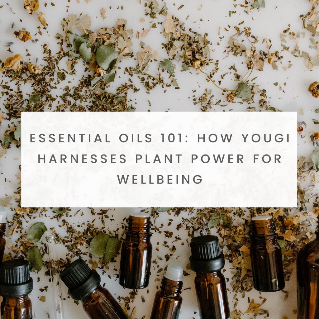 Essential Oils 101: How Yougi Harnesses Plant Power for Wellbeing