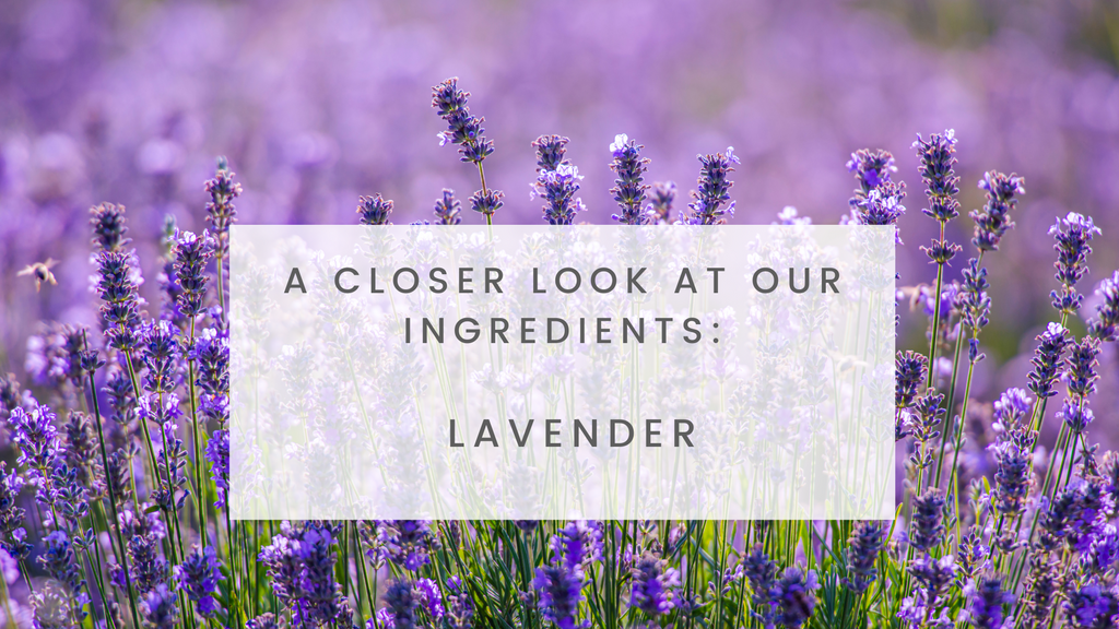 Lavender essential oil
