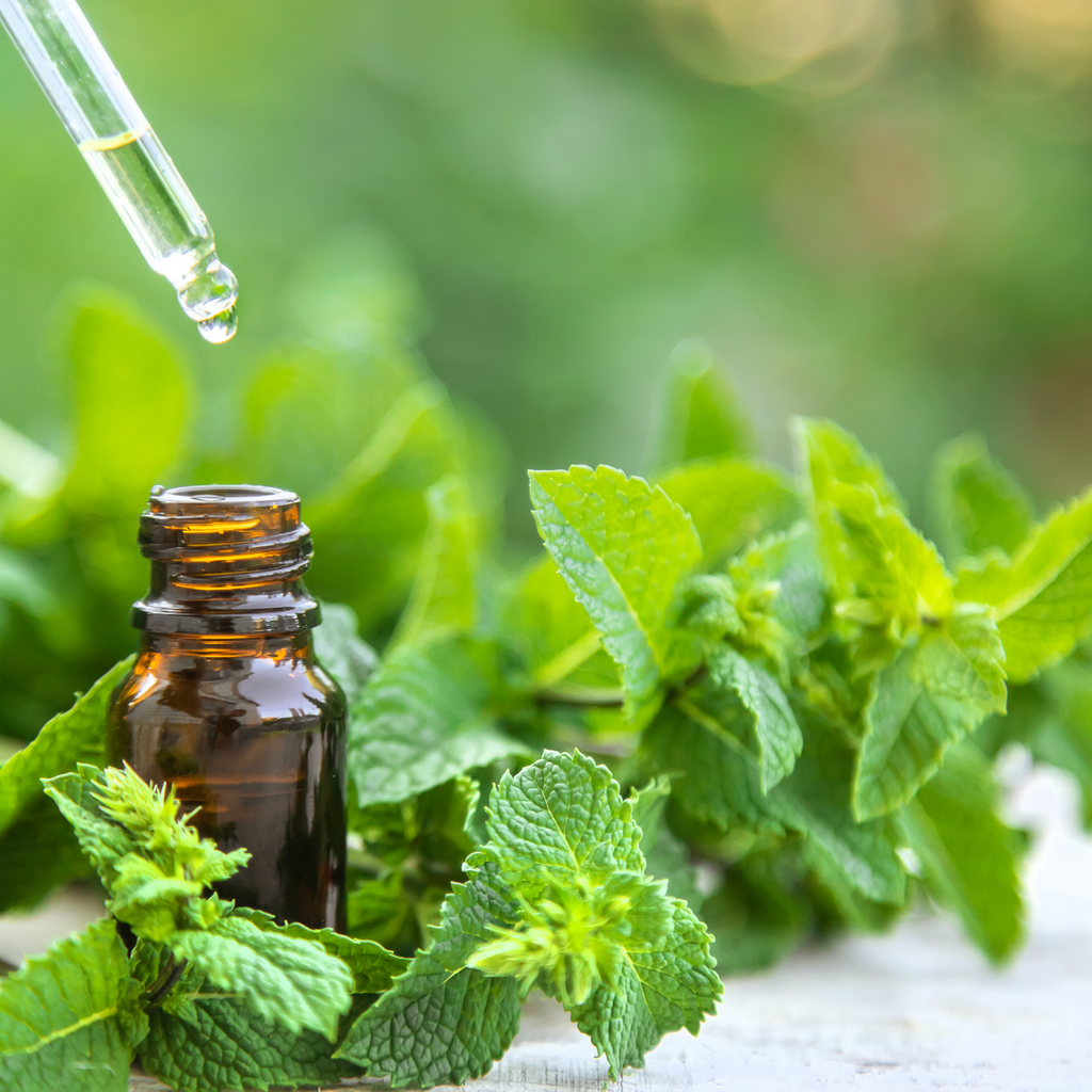 Peppermint essential oil
