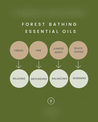 Forest Bathing — Yougi