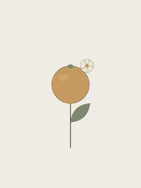 Bergamot