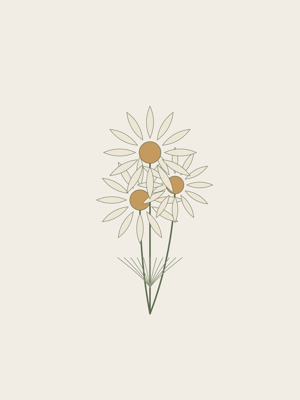 Chamomile