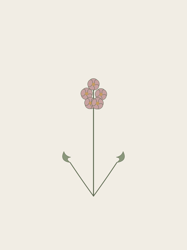 Rose Geranium