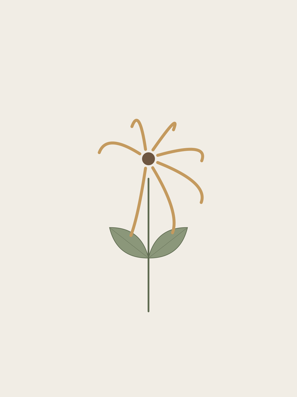Ylang Ylang
